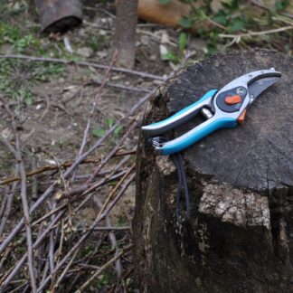 Pruning Shear Sharpening