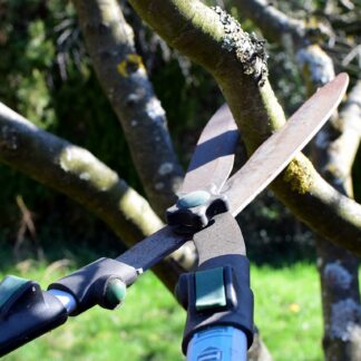 Hedge Shear Sharpening